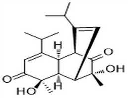 3,10-Dihydroxydielmentha-5,11-diene-4,9-dione