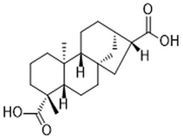 ent-kaurane-17,19-dioic acid