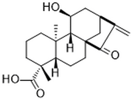 ent-11α-Hydroxy-15-oxokaur-16-en-19-oic acid