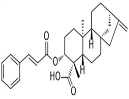 ent-3β-Cinnamoyloxykaur-16-en-19-oic acid