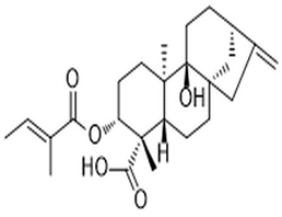 3α-Tigloyloxypterokaurene L3,3α-Tigloyloxypterokaurene L3