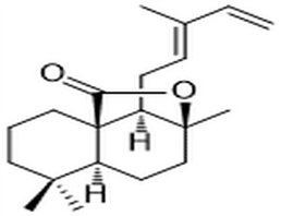 12E,14-Labdadien-20,8β-olide