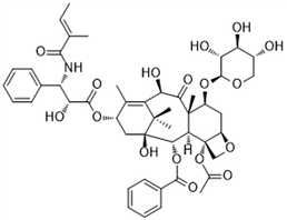 7-Xylosyl-10-deacetyltaxol B