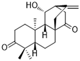 ent-11β-Hydroxyatis-16-ene-3,14-dione,ent-11β-Hydroxyatis-16-ene-3,14-dione