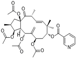 3,5,7,15-Tetraacetoxy-9-nicotinoyloxy-6(17),11-jatrophadien-14-one,3,5,7,15-Tetraacetoxy-9-nicotinoyloxy-6(17),11-jatrophadien-14-one