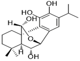 6-Epidemethylesquirolin D,6-Epidemethylesquirolin D