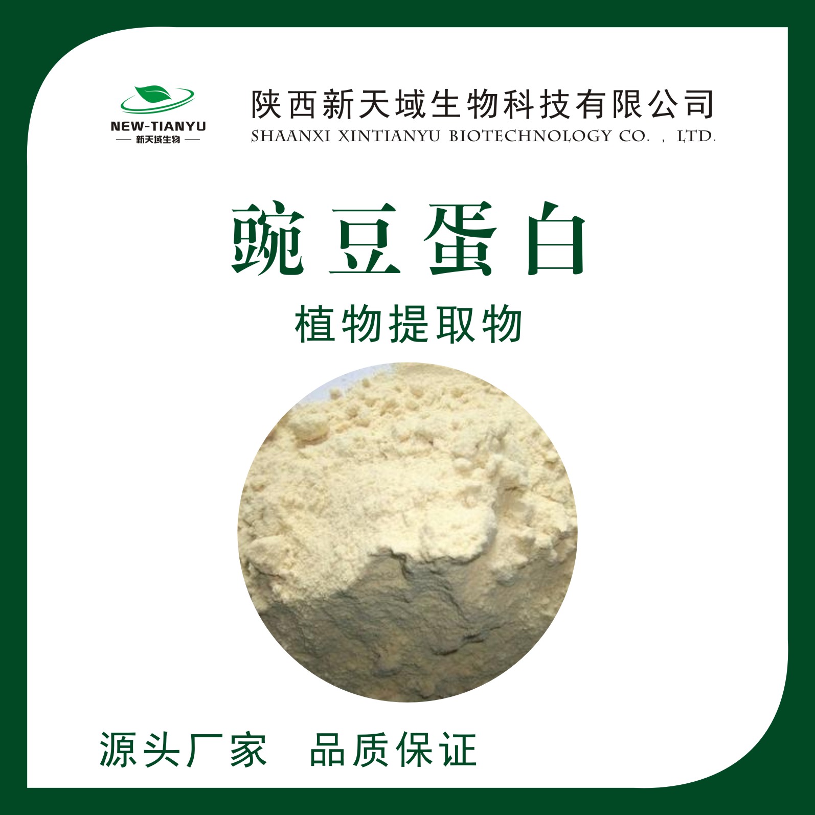 豌豆蛋白,pea protein