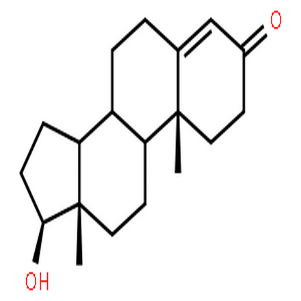 睾酮,Testosterone