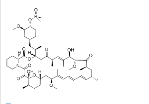 雷帕霉素,Rapamycin