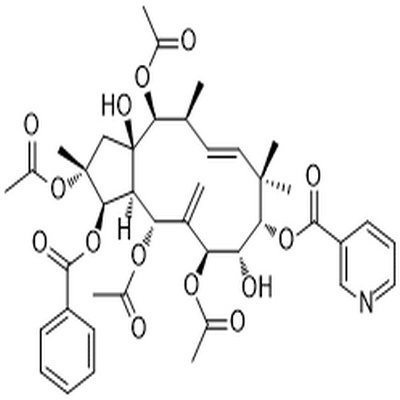 Jatrophane 5,Jatrophane 5