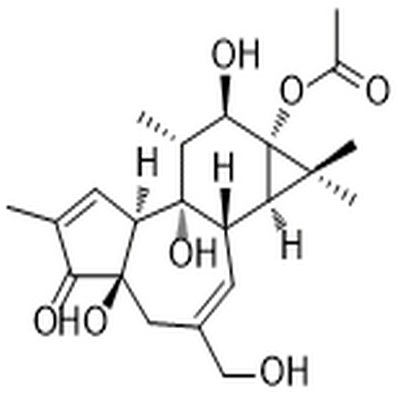 Phorbol 13-acetate,Phorbol 13-acetate