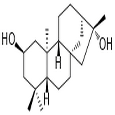 ent-Kaurane-2α,16β-diol,ent-Kaurane-2α,16β-diol