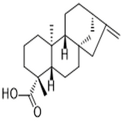 Kaurenoic acid,Kaurenoic acid