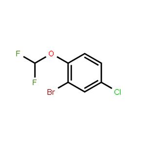 2-溴-4-氯-1-(二氟甲氧基)苯,2-Bromo-4-chloro-1-(difluoromethoxy)benzene