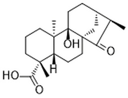 ent-9-Hydroxy-15-oxokauran-19-oic acid
