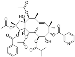 Jatrophane 3,Jatrophane 3