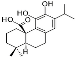 Carnosic acid,Carnosic acid