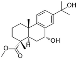 Methyl 7α,15-dihydroxydehydroabietate,Methyl 7α,15-dihydroxydehydroabietate