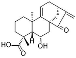 Pterisolic acid B