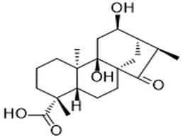 Pterisolic acid E,Pterisolic acid E