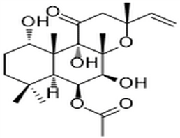 (2R,3S)-3-Phenylisoserine ethyl ester,(2R,3S)-3-Phenylisoserine ethyl ester