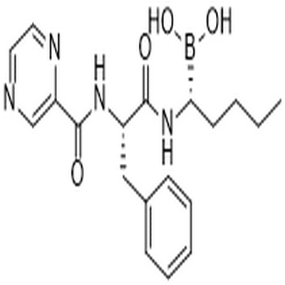 Bortezomib,Bortezomib