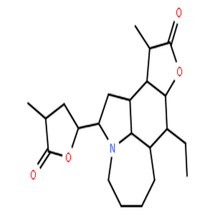 对叶百部碱,Tuberostemonine