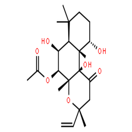 佛司可林,FORSKOLIN