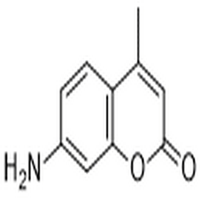 7-Amino-4-methylcoumarin,7-Amino-4-methylcoumarin