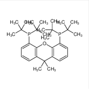 9,9-二甲基-4,5-双(二叔丁基膦)二苯并-Γ-吡喃,ditert-butyl-(5-ditert-butylphosphanyl-9,9-dimethylxanthen-4-yl)phosphane