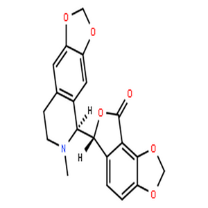 比枯枯灵