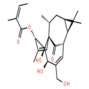 巨大戟醇-3-O-当归酸酯,Ingenol-3-angelate