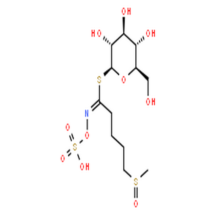 萝卜硫苷,Glucoraphanin