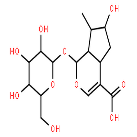 马钱苷酸,LOGANIC ACID