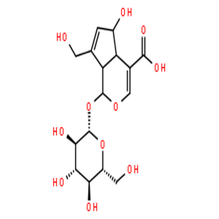 去乙酰车叶草苷酸,Cyclopenta[c]pyran-4-carboxylicacid, 1-(b-D-glucopyranosyloxy)-1,4a,5,7a-tetrahydro-5-hydroxy-7-(hydroxymethyl)-,(1S,4aS,5S,7aS)-
