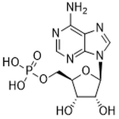 Adenosine 5'-monophosphate,Adenosine 5'-monophosphate