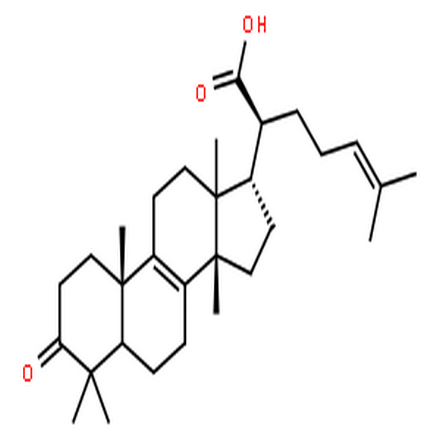 榄香酮酸,BETA-ELEMONIC ACID