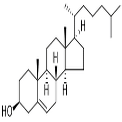 Cholesterol,Cholesterol