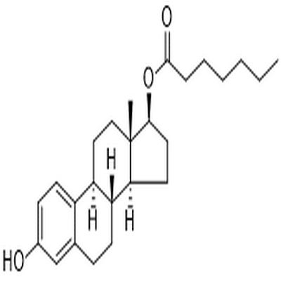 Estradiol heptanoate,Estradiol heptanoate