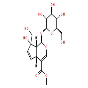 山栀子苷B,gardenoside