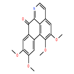 氧海罂粟碱,Oxoglaucine