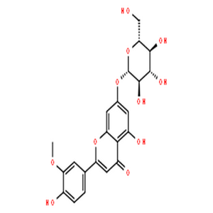 柯伊利素-7-O-葡萄糖苷,Chrysoeriol 7-O-glucoside