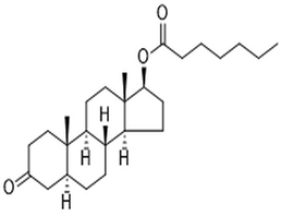 Androstanolone heptanoate