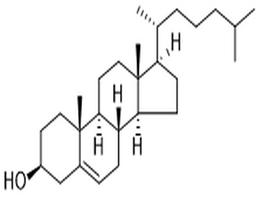 Cholesterol