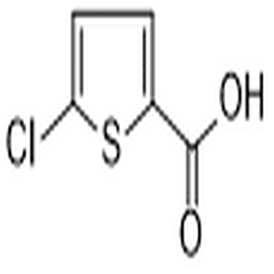 5-Chlorothiophene-2-carboxylic acid,5-Chlorothiophene-2-carboxylic acid