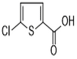 5-Chlorothiophene-2-carboxylic acid,5-Chlorothiophene-2-carboxylic acid