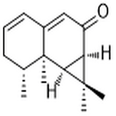 Kanshone H,Kanshone H