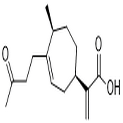 4-Oxobedfordiaic acid,4-Oxobedfordiaic acid