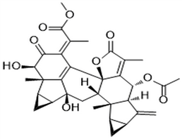 Chlorahololide C