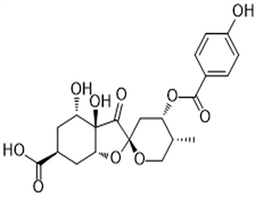 Glochicoccin D